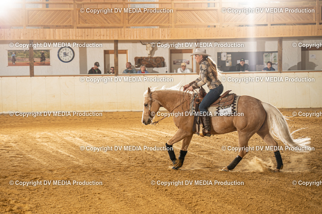 MIT00464 | dv-media-shop - Realisiert mit Pictrs.com