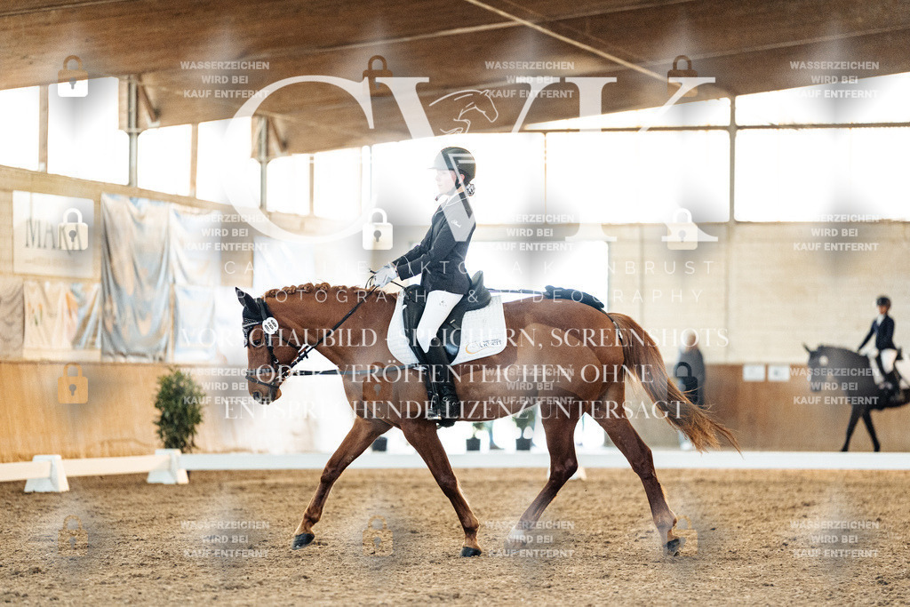 CK906637 | Turnierfotografie Pferdefotografie Trier Rheinland-Pfalz Pferdesport Reitsport Tierfotografie Sportfotografie Pferdevideo Pferdevideografie Equestrianvideography equestrianphotography  - Realisiert mit Pictrs.com