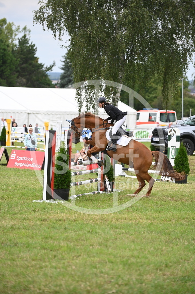 DSC_1546 | sattelsport - Realisiert mit Pictrs.com