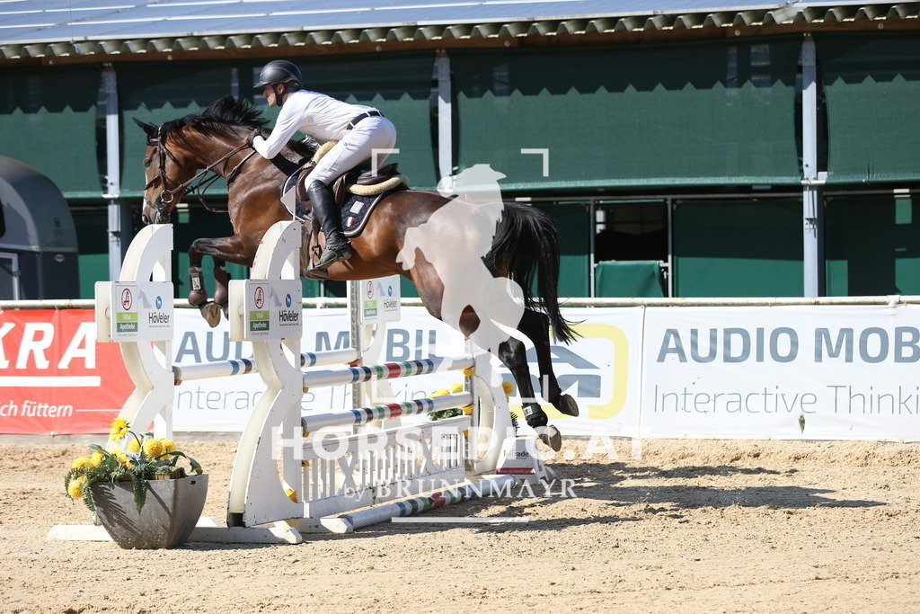 DL2Q0193 | Willkommen bei Brunnmayr - Design & Fotografie – Ihrem Spezialisten für Reitturniere und Pferdeveranstaltungen in Oberösterreich, Salzburg und Bayern! Seit über 17 Jahren sind wir leidenschaftlich dabei.
