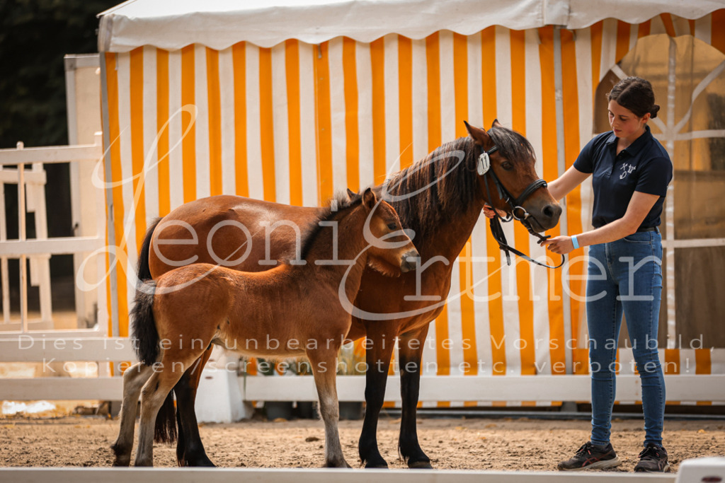 02.DoSR00118 | Leoni Ertmer Photography - Realisiert mit Pictrs.com