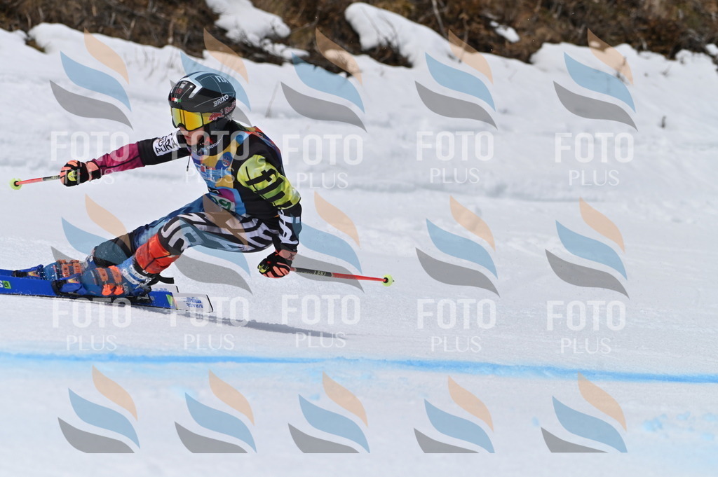 BGV_4537 | holidayphoto