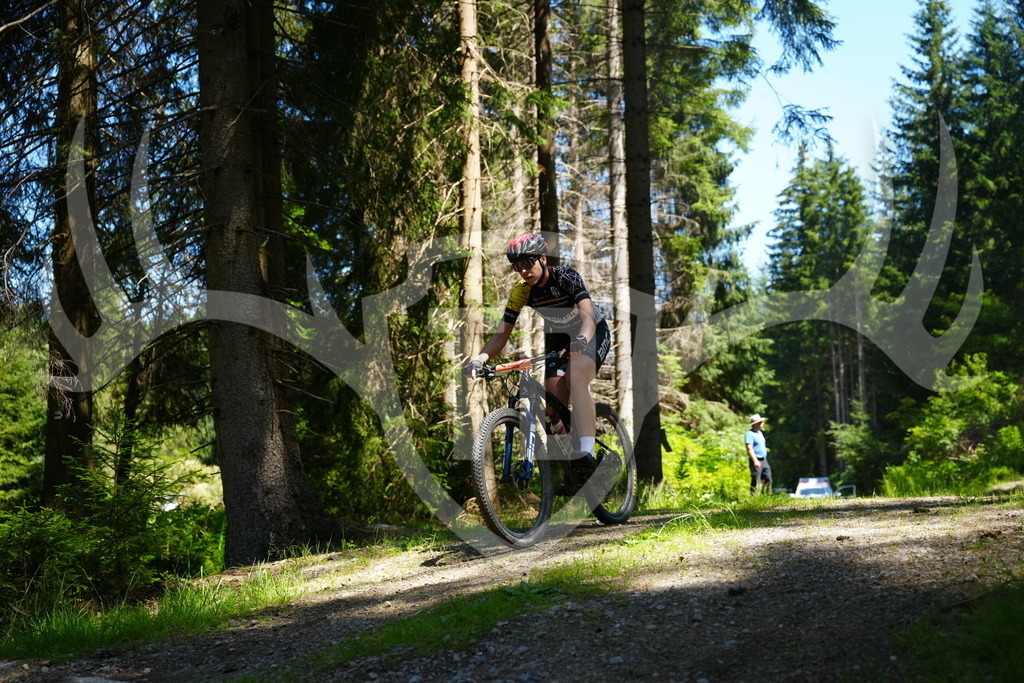 FC101688 | Fotogalerie der Treibjagd im Dunkelwald - Dein MTB Etappenrennen im Erzgebirge - Realisiert mit Pictrs.com