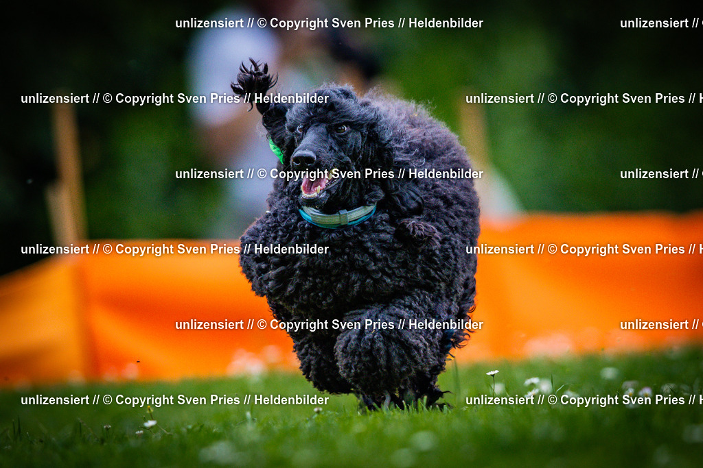 Sven Pries | 2025-05-29 - Pudelrennen KA-Durlach - Realisiert mit Pictrs.com