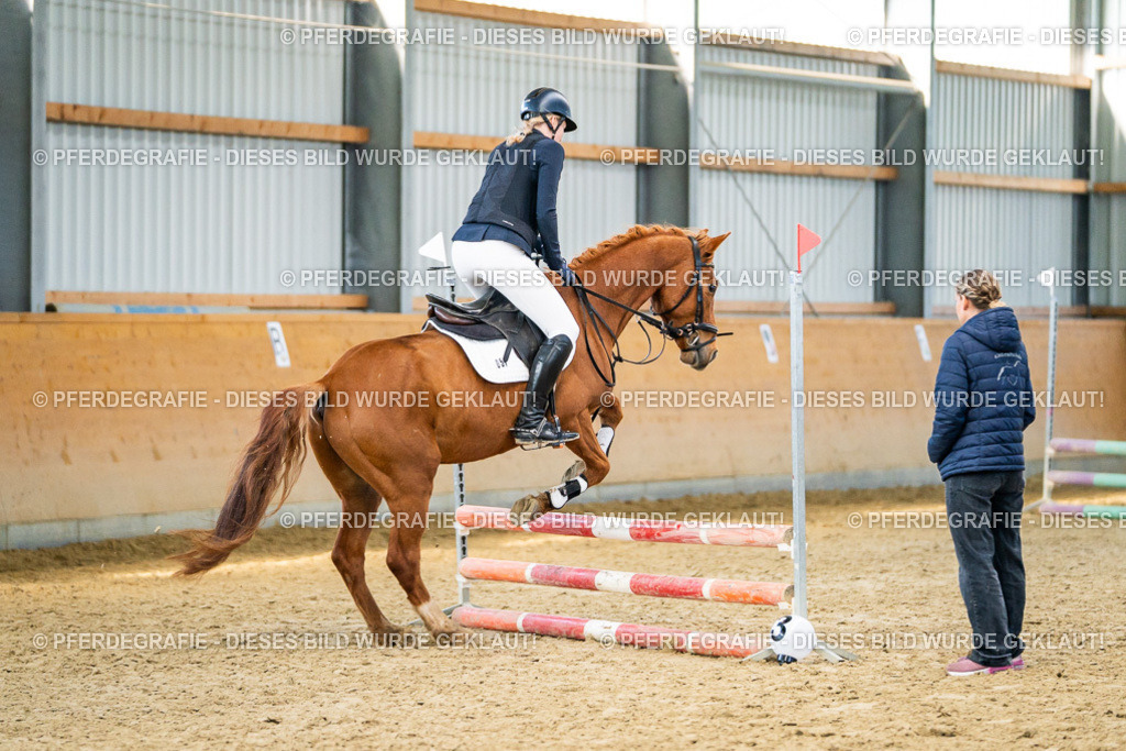 DSC01042 | Pferdegrafie