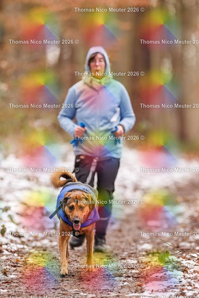 Thomas_Nico_Meuter(C)_223A9358 | Bild von Thomas Nico Meuter - Realisiert mit Pictrs.com