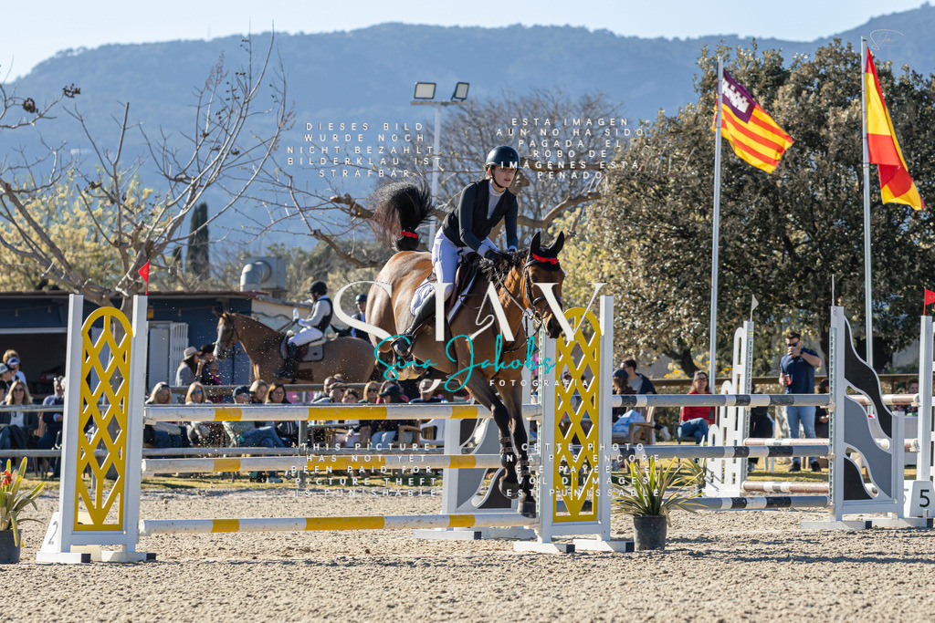 IMG_1781 | s-jay-photography - Realisiert mit Pictrs.com