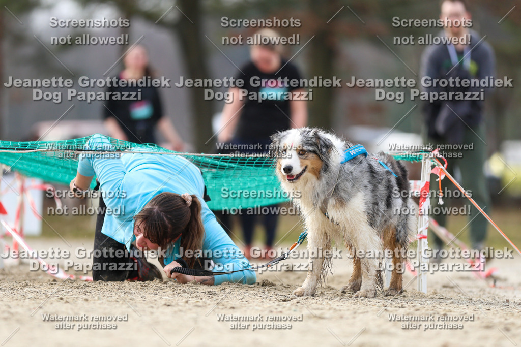 Dog Paparazzi - Strongdog North Mrz26-5184 | Dog Paparazzi Jeanette Grottendiek Fotografie & Videografie - Realisiert mit Pictrs.com