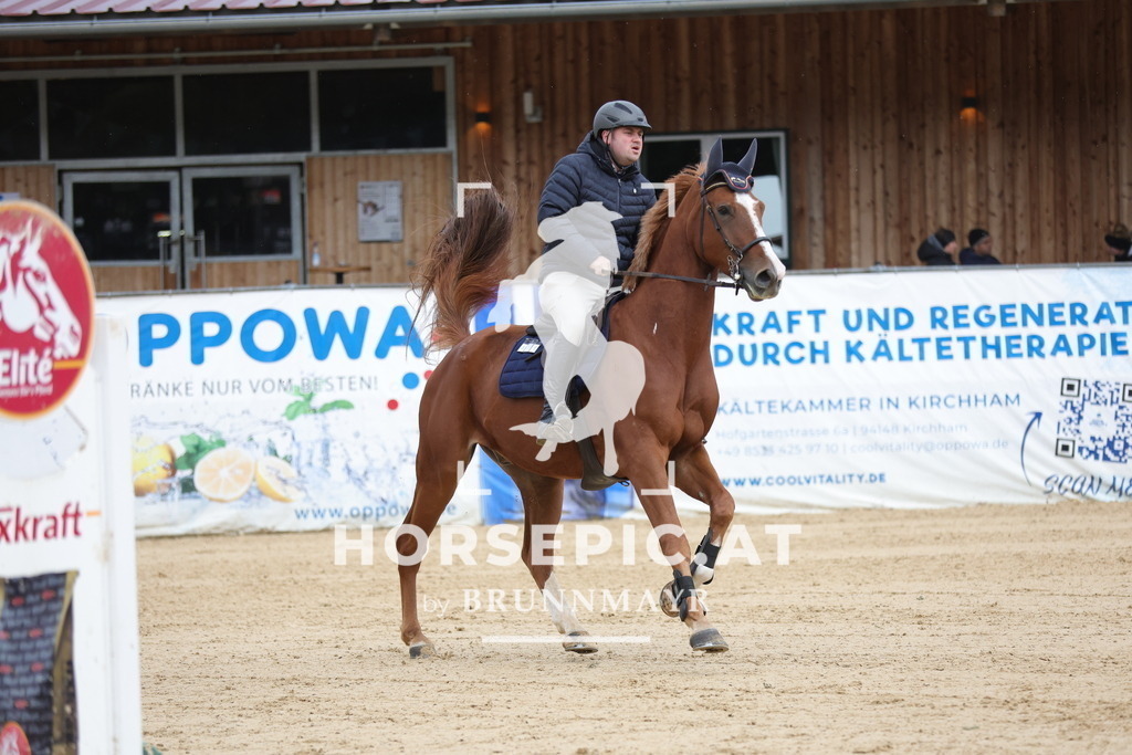 0P6A9189 | Willkommen bei Brunnmayr - Design & Fotografie – Ihrem Spezialisten für Reitturniere und Pferdeveranstaltungen in Oberösterreich, Salzburg und Bayern! Seit über 17 Jahren sind wir leidenschaftlich dabei.