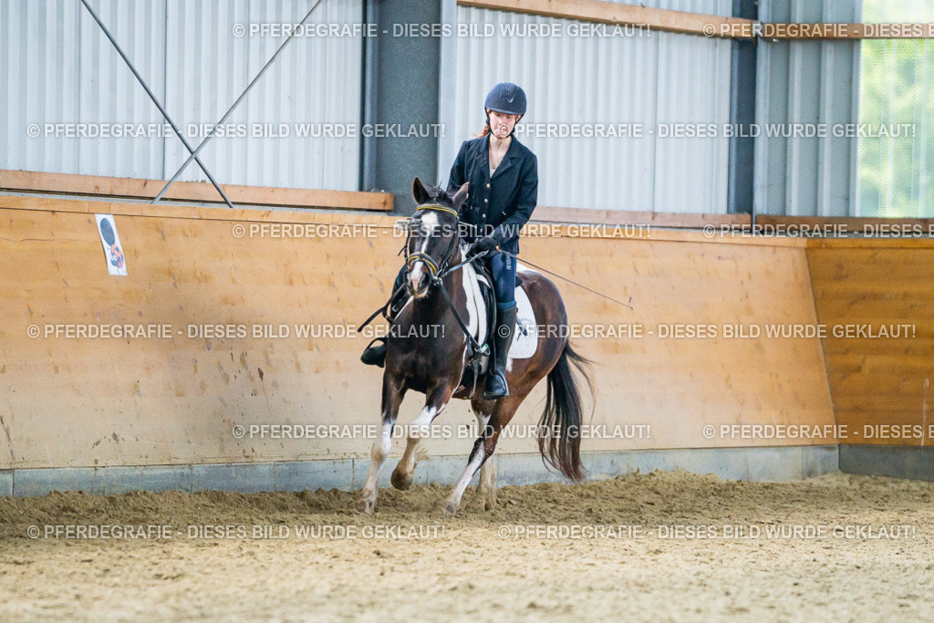 DSC03776 | Pferdegrafie