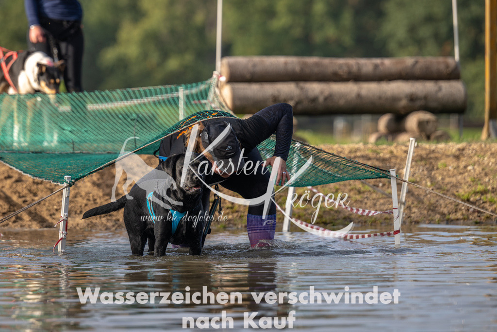 1011_ZZ92186 | kk-dogfotos