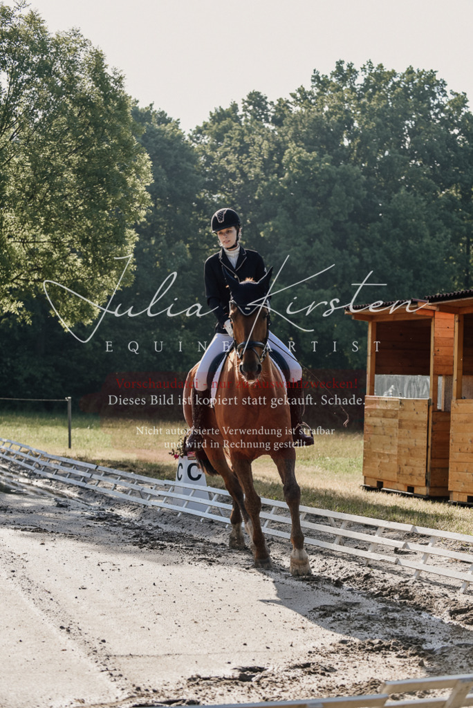 DSC_7691 | Pferde- und Turnierfotografie in Westsachsen. Pferdeportraits, Auftragszeichnungen und intuitive Kunst.