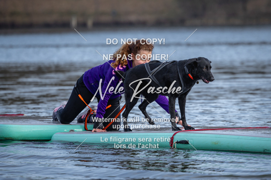 nelerasche_Hulsbeek_Sa1600-1700_641 | nelerasche
