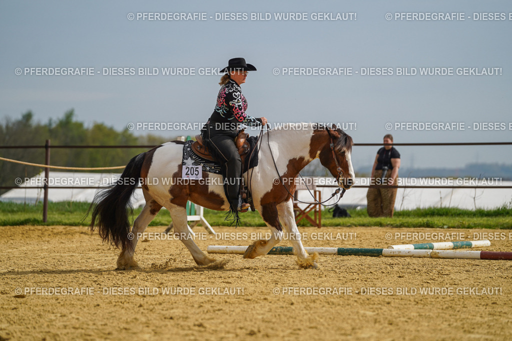 DSC02110 | Pferdegrafie