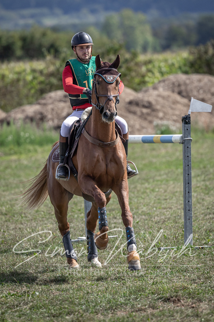 20250907-_3LI1223 | Tierfotografie Pferde, Hunde, Katzen, Haustiere.
Turnierfotografie Reitturniere, Reiten, Springreiten, Dressur in Hanau, dem Main-Kinzig-Kreis und dem Rhein-Main- Gebiet um Frankfurt