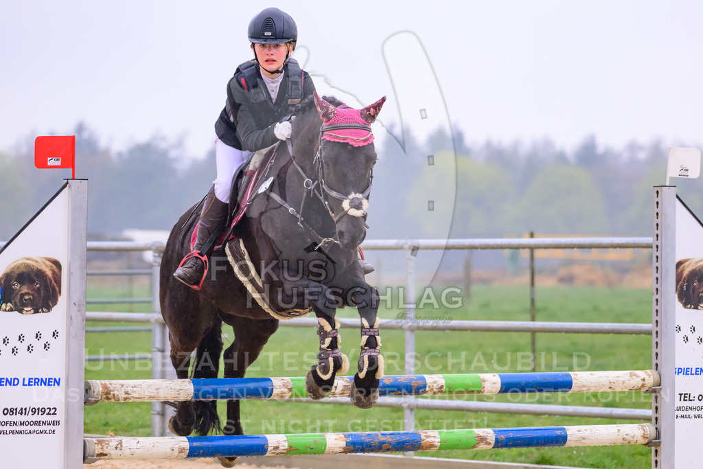 10042026-Mammendorf-Prfg14-0400 | Fokus Hufschlag Fotografie - Realisiert mit Pictrs.com