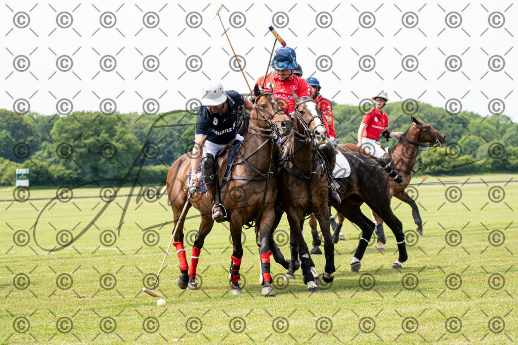 POL_3504 | andre_photographic