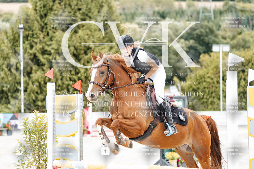 CK908222 | Turnierfotografie Pferdefotografie Trier Rheinland-Pfalz Pferdesport Reitsport Tierfotografie Sportfotografie Pferdevideo Pferdevideografie Equestrianvideography equestrianphotography  - Realisiert mit Pictrs.com
