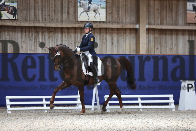Zeutern_2025_Prfg.Nr.09_Amateur-Dressurprfg.Kl.S_Karen Anett Lempert_Le petit Rouge (9) | Alle Fotos der Reiterjournal Fotografin Doris Matthaes im Reiterjournal Online-Fotoshop. - Realisiert mit Pictrs.com