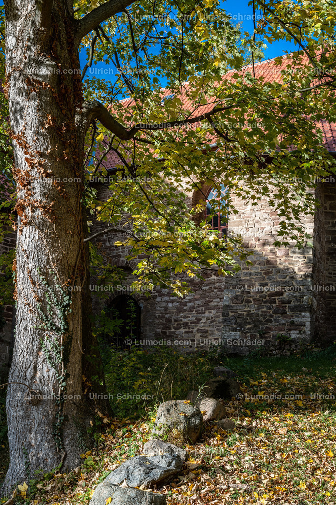 10049-12614 - Schloßpark Ilsenburg im Harz | Stockfoto und Bilderpool mit Bildmaterial aus Deutschland, dem Harz, Halberstadt, Quedlinburg, Wernigerode und weltweit. Qualitativ hochwertige und professionelle Fotos anschauen und kaufen. - Realisiert mit Pictrs.com