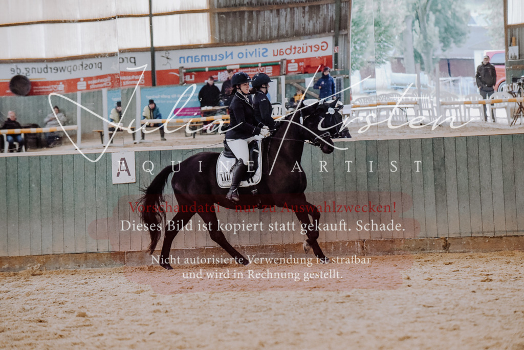 DSC_7646 | Pferde- und Turnierfotografie in Westsachsen. Pferdeportraits, Auftragszeichnungen und intuitive Kunst.
