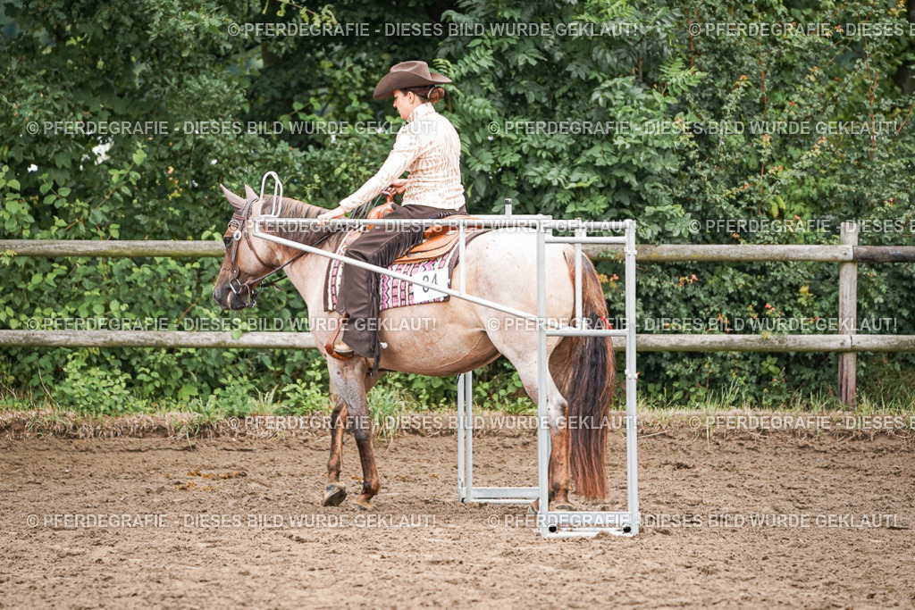 DSC03063 | Pferdegrafie