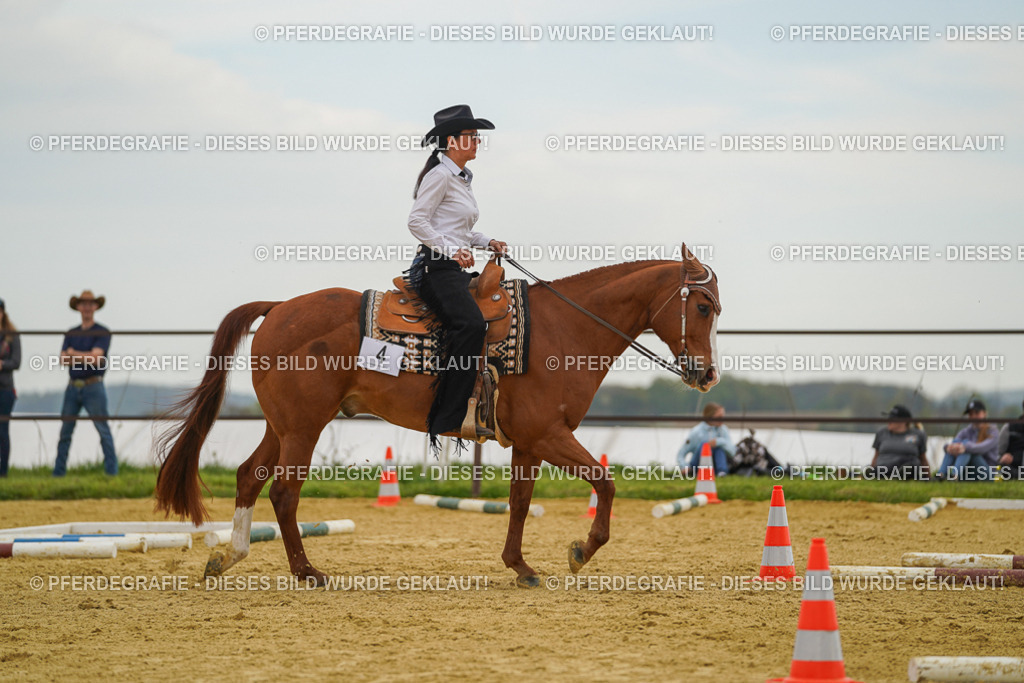 DSC02553 | Pferdegrafie