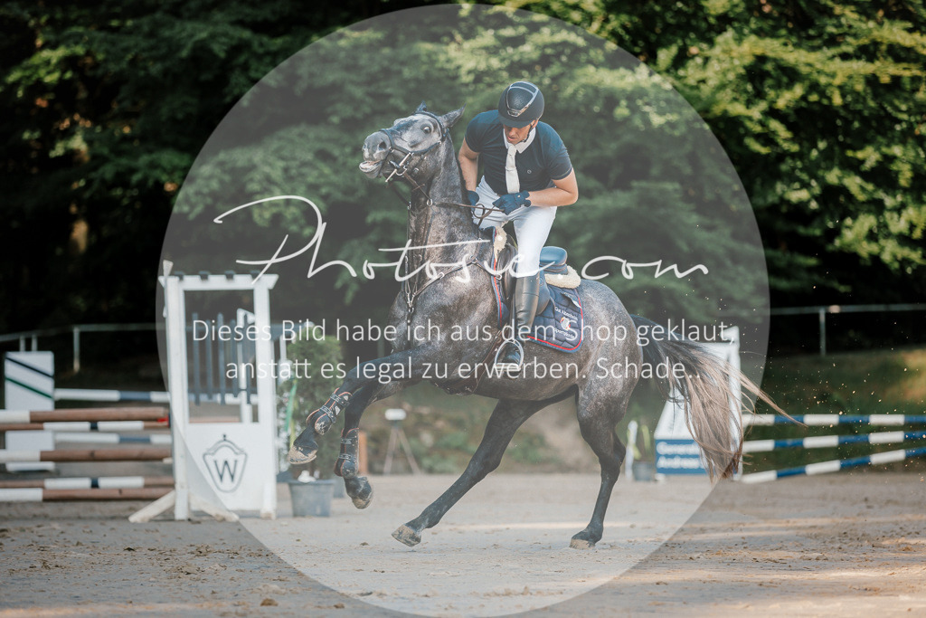 3I6A6103 | Stimmungsvolle Portraits und Reitsportfotografie im Ruhrgebiet und im Münsterland.

Pferdefotografie, Hundefotografie, Tierfotografie, Reportagen, Portraits von Tier und Mensch, Turnierfotografie in Bochum, Recklinghausen, Marl, Haltern am See, Dülmen.. - Realisiert mit Pictrs.com