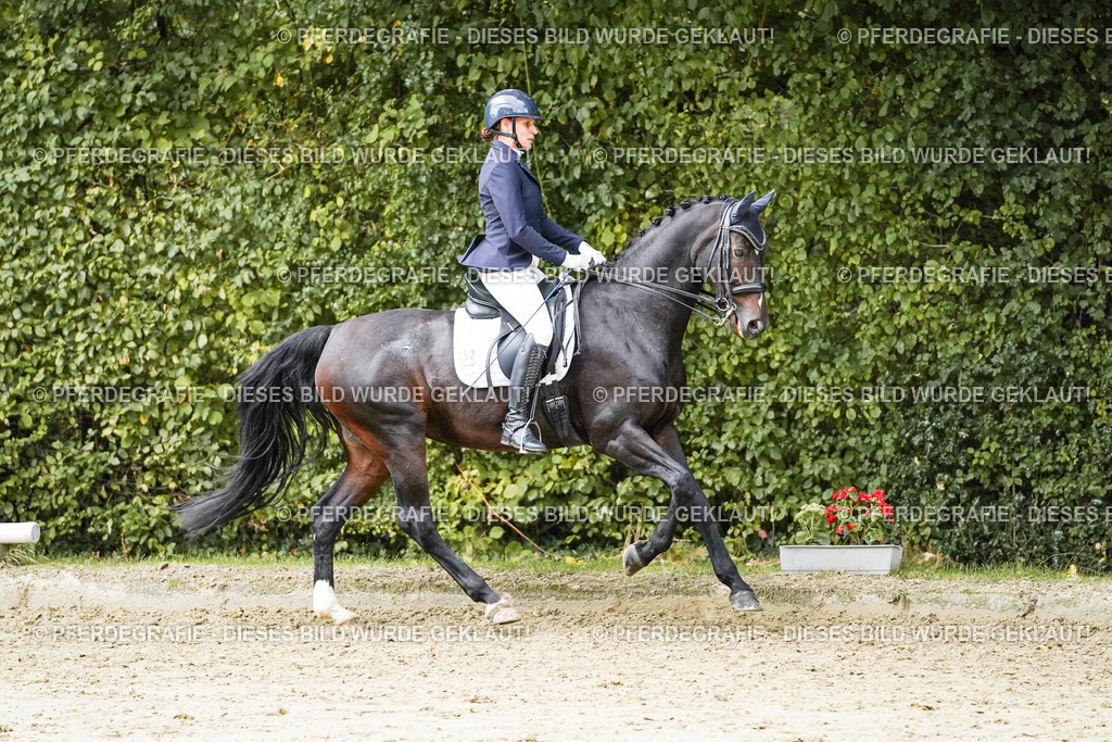 DSC06223 | Pferdegrafie