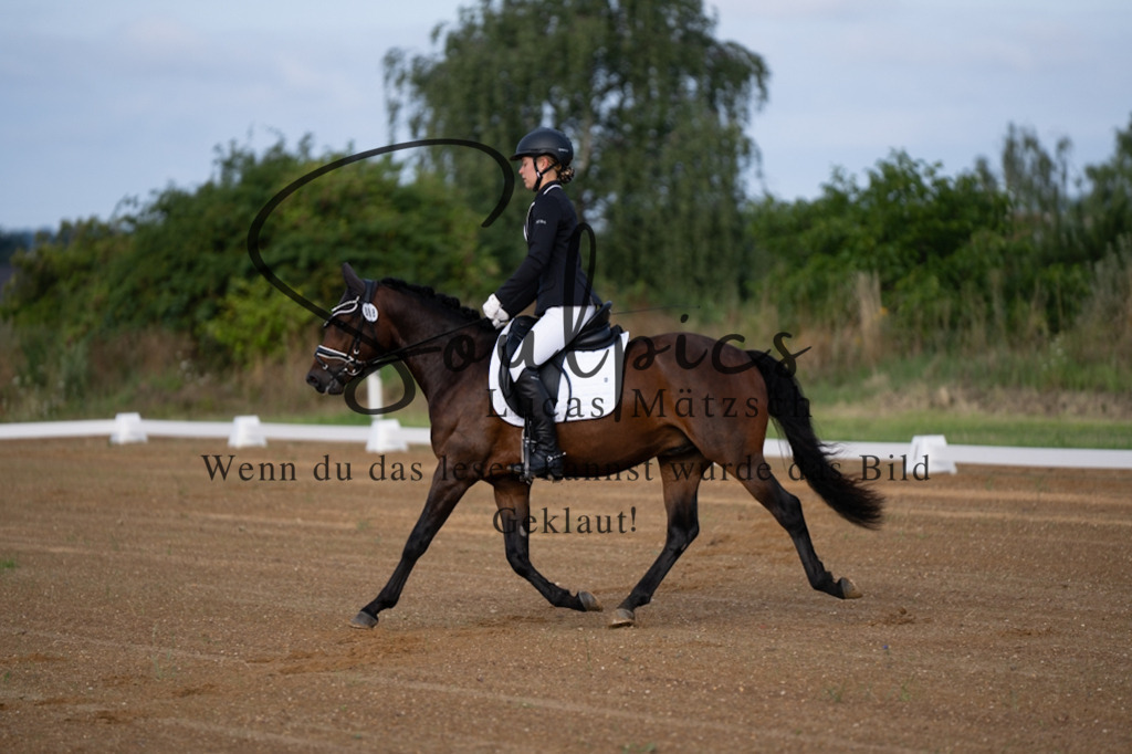A7V03652 | Turnier/Reitfotograf