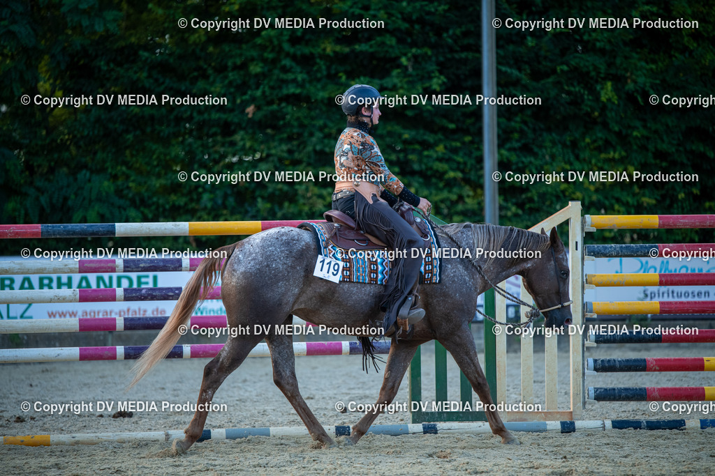 EWP_7271 | dv-media-shop - Realisiert mit Pictrs.com