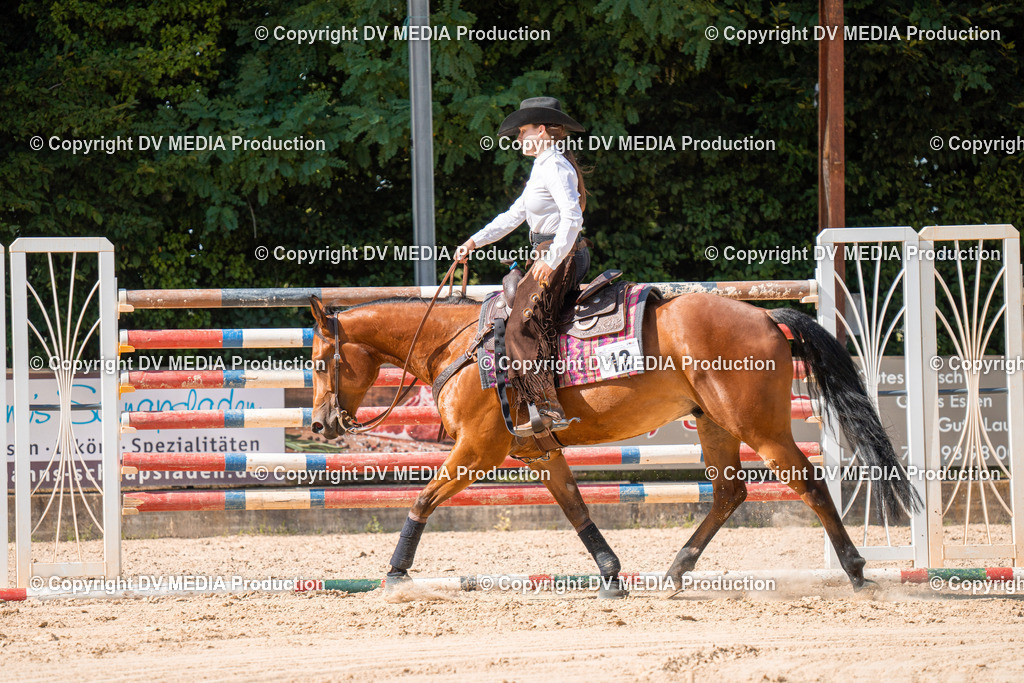 ZH100253 | dv-media-shop - Realisiert mit Pictrs.com