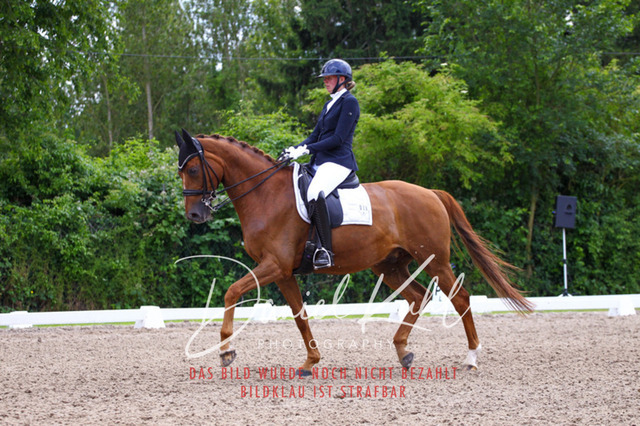 DKP41225 | Turnierfotos kaufen im Webshop von Daniel Kuhl Photography – entdecke professionelle Reitsportfotos aus Turnieren & Events. Hochwertige Turnierbilder online bestellen & sichern. Jetzt Fotos von Reitsportturnieren kaufen!