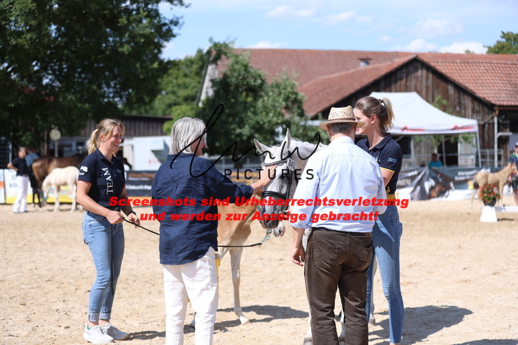 Fohlenschau_Schwäbisch_Hall_Ponys_SIEGERFOHLEN_KN 43_1 | lmwpictures - Realisiert mit Pictrs.com