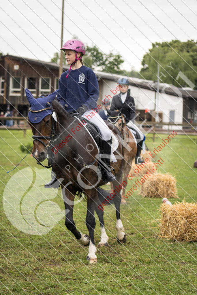 IMG_8002 | Sport-, Event- und Tierfotos in Profiqualität. Einfach auswählen, bestellen und herunterladen. Dein Moment – perfekt festgehalten.