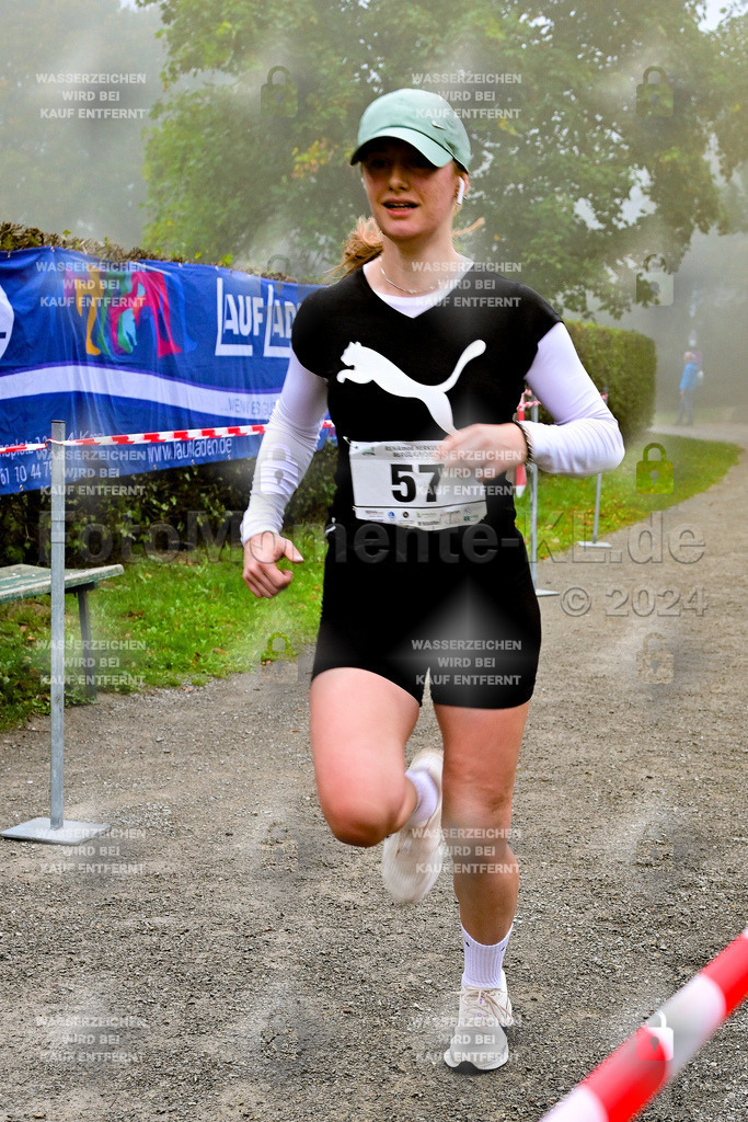 Z8N_2193 | la-psv - Realisiert mit Pictrs.com