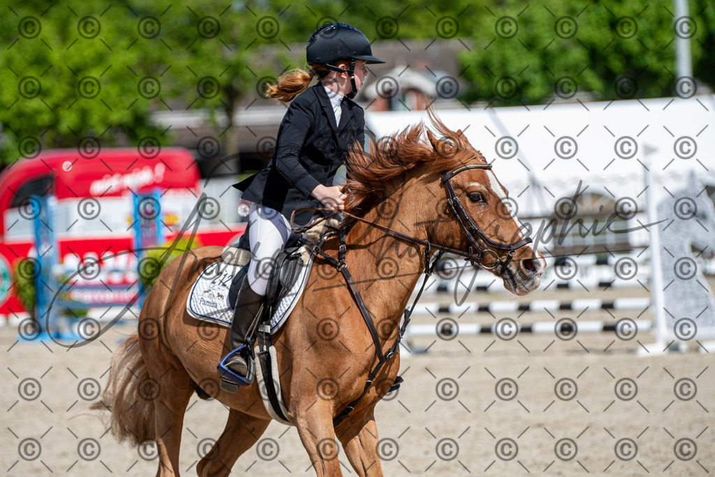 KPT_5125 | andre_photographic