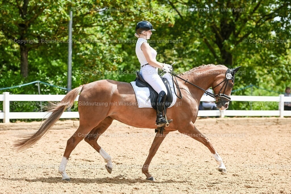 20230716_03_Dressurprfg. Kl.L - Tr._0470 | equistock