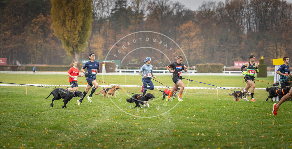 CaniXpix_DV3A9512 | Hundefotografie, Tierfotograf, Pfotenfotografie, Fotoshooting Hund, Hunde Portrait, Hundesport, Hundeportraits, Heideshooting, Hunde, Sportfotograf, Hundefotograf, Turnierhundsport, THS,  - Realisiert mit Pictrs.com