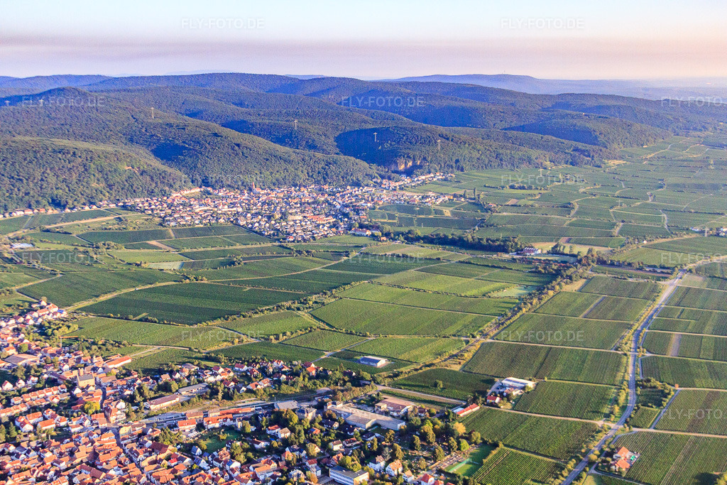 Luftbild: Ortsansicht von Südosten im Ortsteil Königsbach in Neustadt im Bundesland Rheinland-Pfalz in Deutschland. Foto: IMG_44380.jpg vom 20.08.2011 durch Werner Riehm/FLY-FOTO.deAuflösung des Originals: 4752 x 3168 px