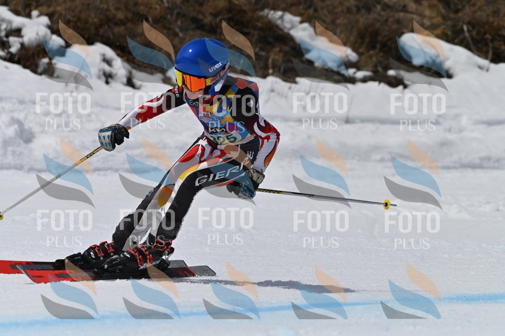 BGV_6440 | holidayphoto