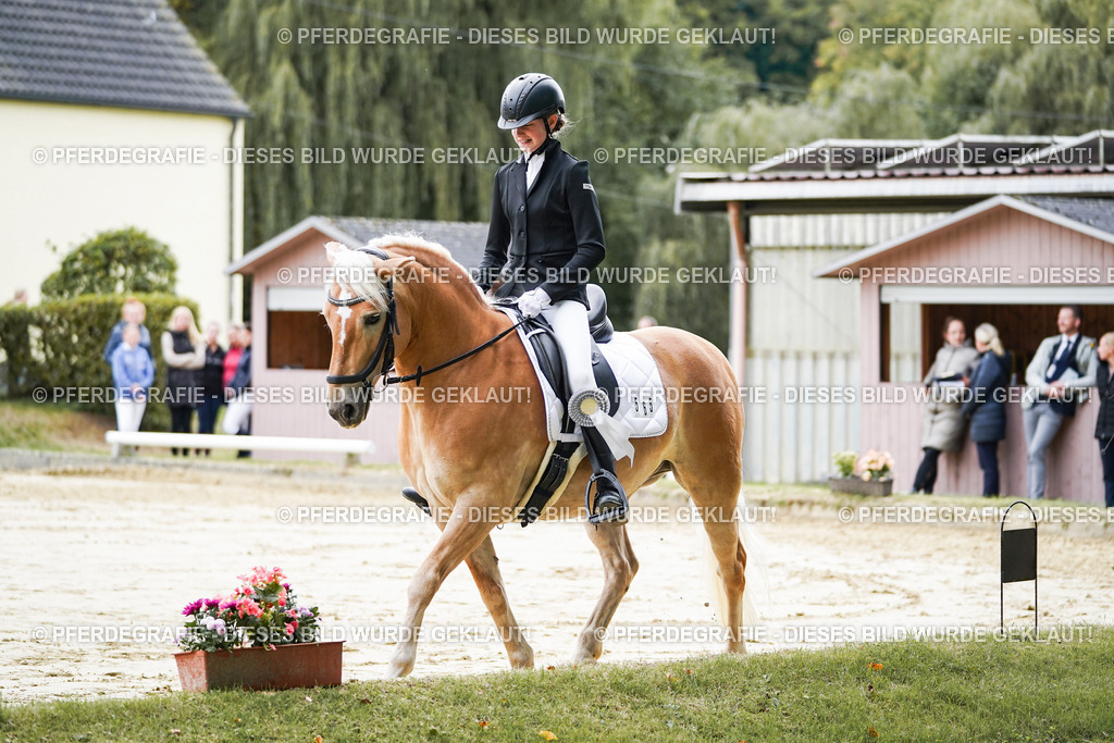 DSC05045 | Pferdegrafie