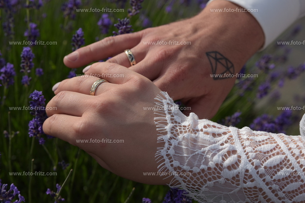 JUN_8526 | www.foto-fritz.com - Realisiert mit Pictrs.com