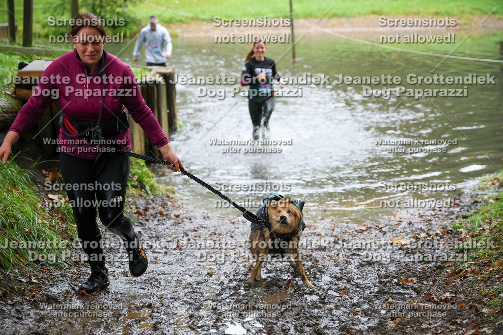 Dog Paparazzi -  SD1026-8492 | Dog Paparazzi Jeanette Grottendiek Fotografie & Videografie - Realisiert mit Pictrs.com