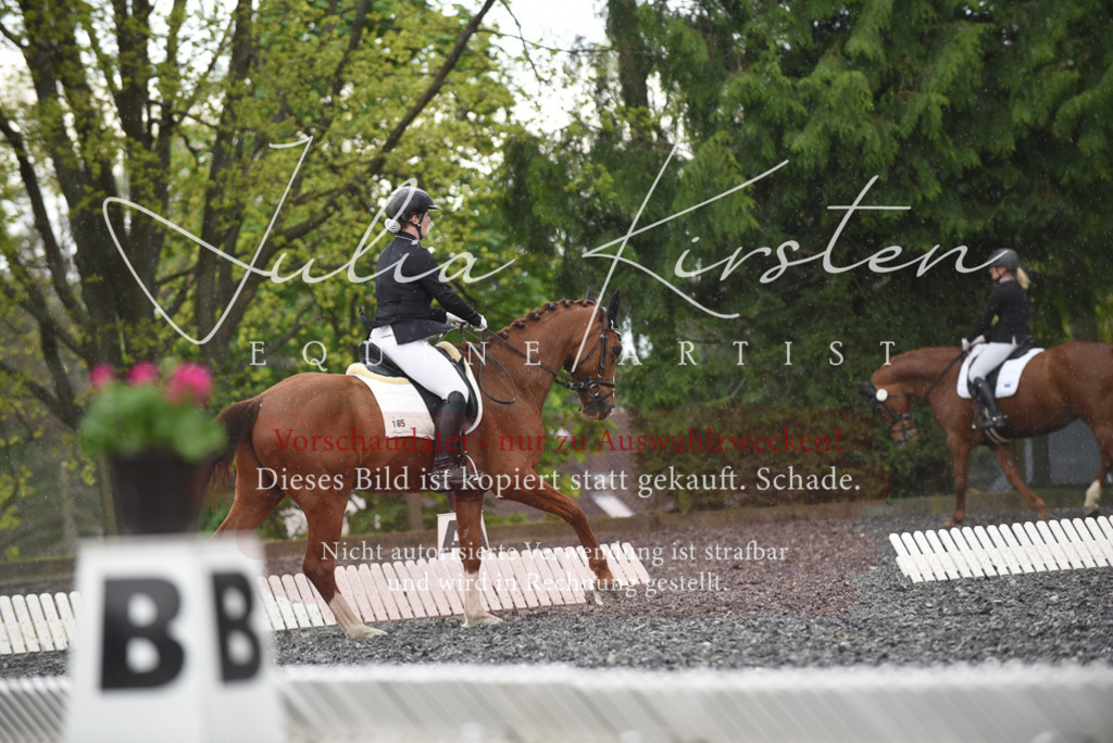 20230513_JK-Röhrsdorf-15-240 | Pferde- und Turnierfotografie in Westsachsen. Pferdeportraits, Auftragszeichnungen und intuitive Kunst.