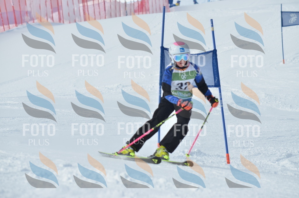 D8651 | holidayphoto