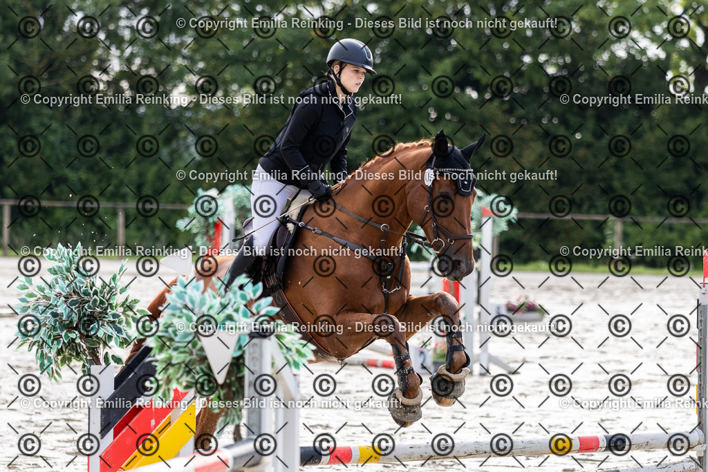 CL5A0200 | Emilia Reinking Fotografie - Realisiert mit Pictrs.com