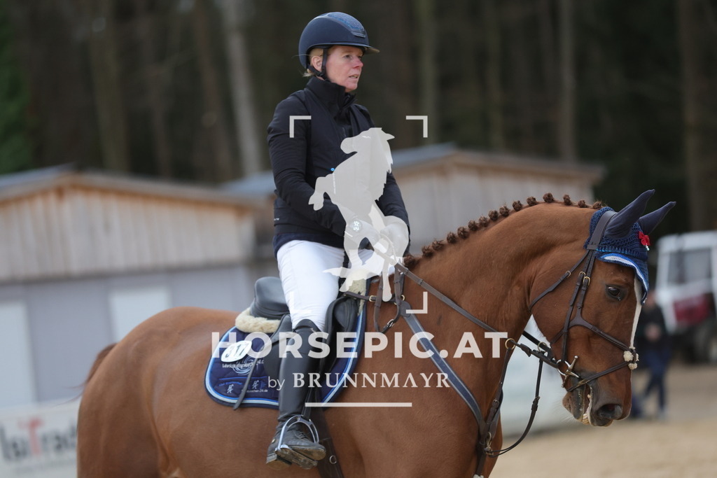 0P6A5383 | Willkommen bei Brunnmayr - Design & Fotografie – Ihrem Spezialisten für Reitturniere und Pferdeveranstaltungen in Oberösterreich, Salzburg und Bayern! Seit über 17 Jahren sind wir leidenschaftlich dabei.