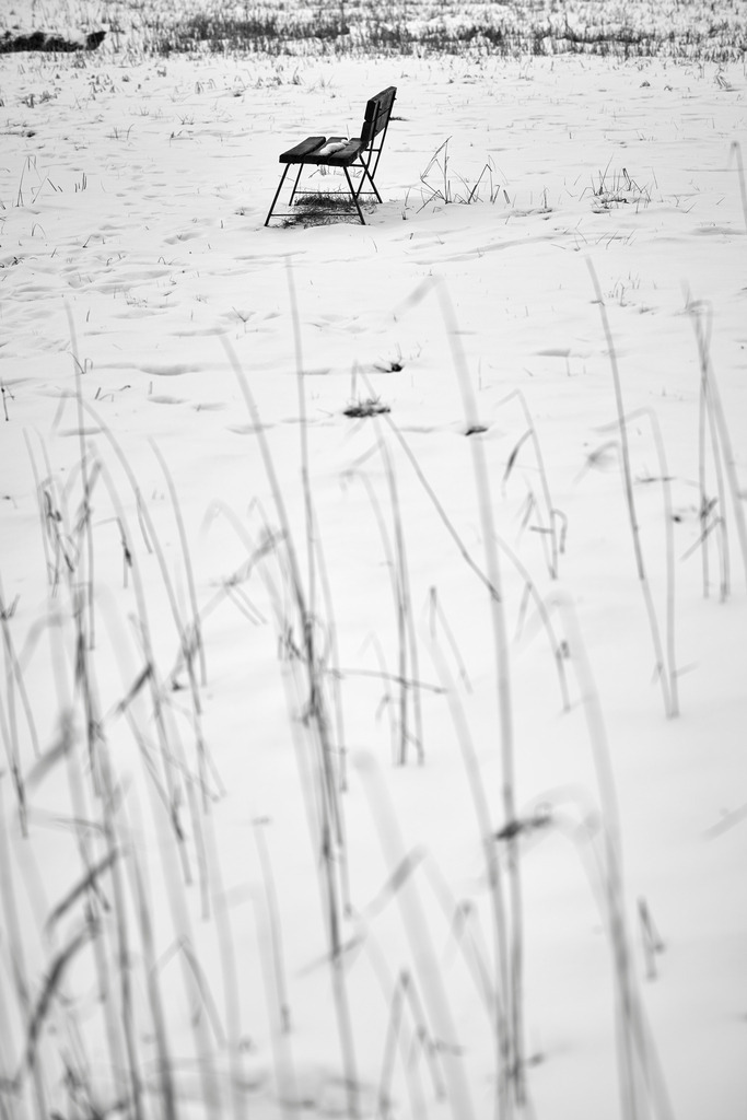 Parkbank im Schneefeld | Rauchwart, Austria - March 03, 2018: Parkbank im Schneefeld. - Realisiert mit Pictrs.com
