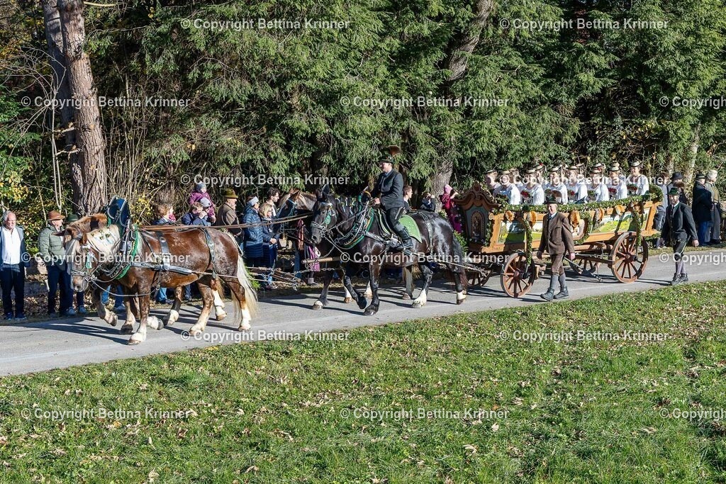 LBT25-89 | foto-bettina-krinner - Realisiert mit Pictrs.com